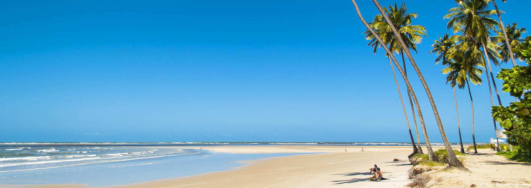 O QUE FAZER EM PORTO DE GALINHAS